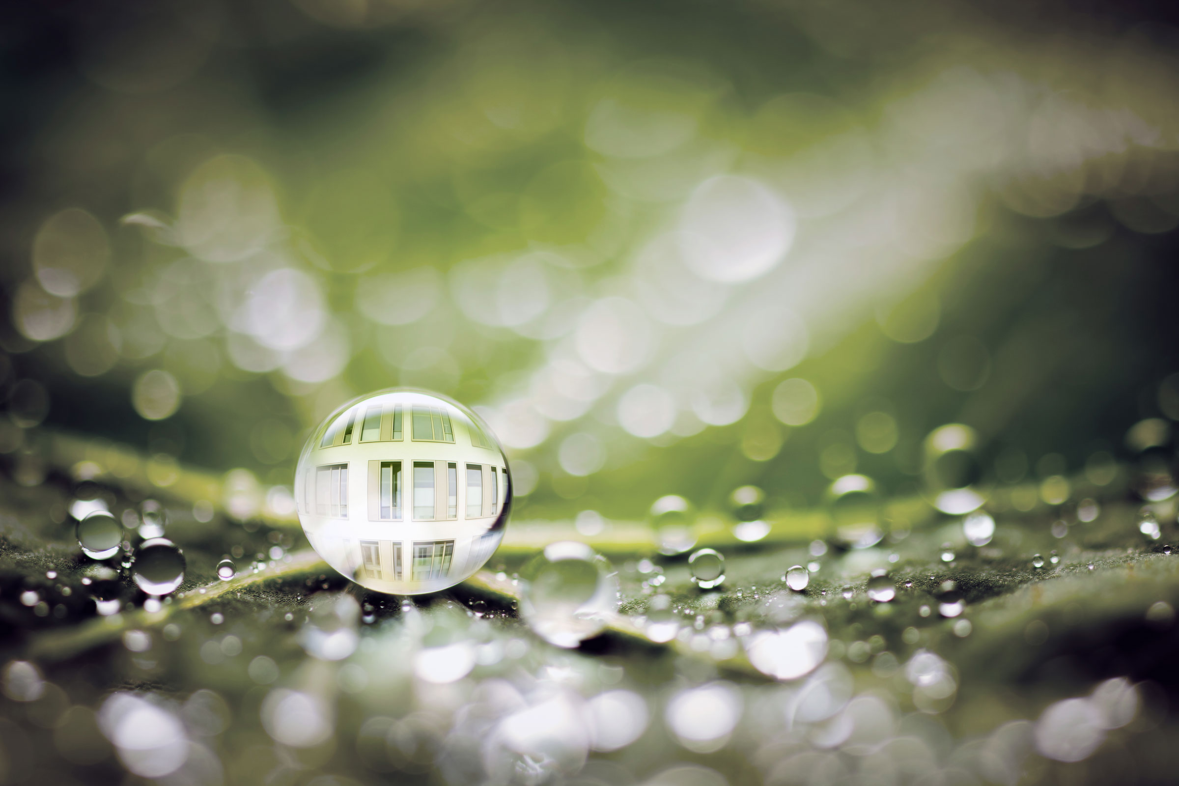 Biomimetika v Sto: kvapky vody na zelenom liste, biomimetické fasádne farby