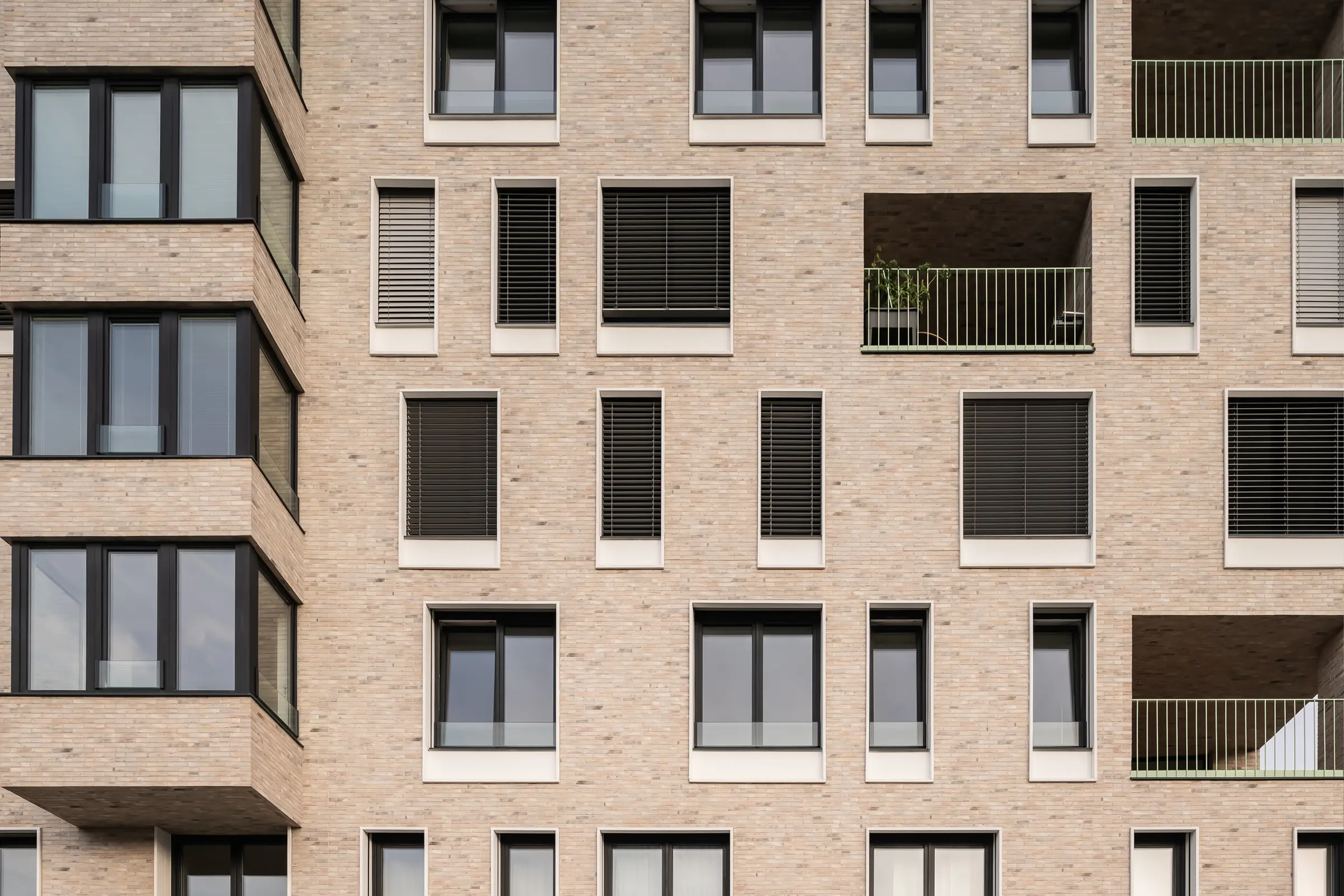 Palác Trnitá Brno, ČR