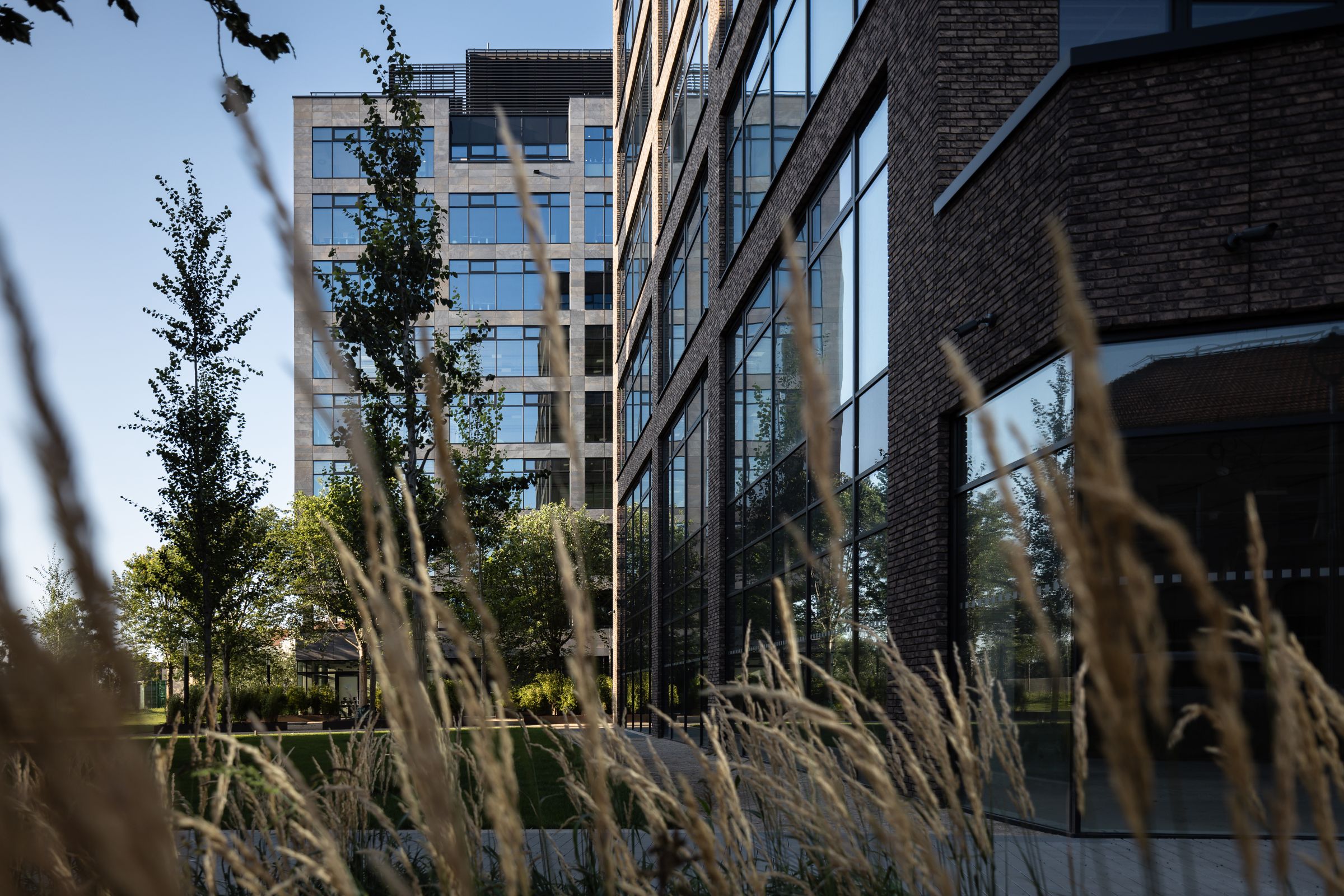 Organický dizajn budovy H v areáli Vlněna